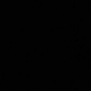 Meet your Posher, JJ